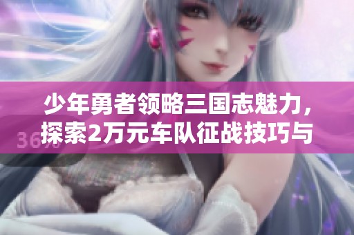 少年勇者领略三国志魅力，探索2万元车队征战技巧与策略