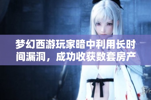 梦幻西游玩家暗中利用长时间漏洞，成功收获数套房产