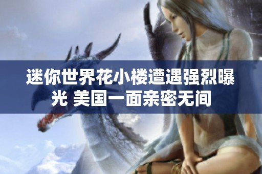 迷你世界花小楼遭遇强烈曝光 美国一面亲密无间