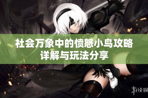 社会万象中的愤怒小鸟攻略详解与玩法分享
