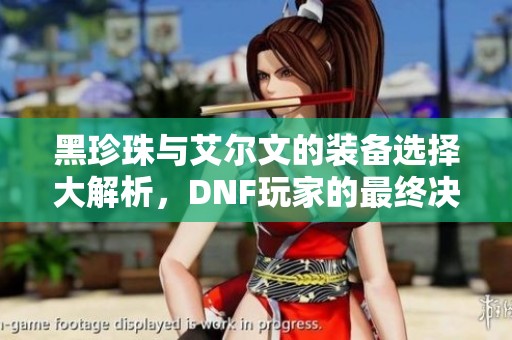 黑珍珠与艾尔文的装备选择大解析，DNF玩家的最终决策指南