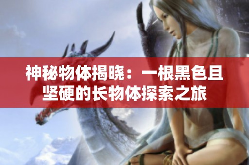 神秘物体揭晓：一根黑色且坚硬的长物体探索之旅