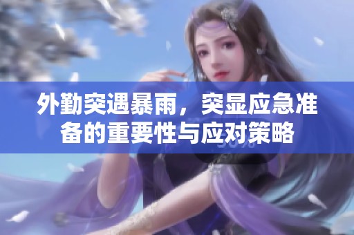 外勤突遇暴雨，突显应急准备的重要性与应对策略