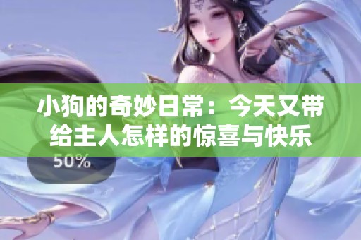 小狗的奇妙日常：今天又带给主人怎样的惊喜与快乐