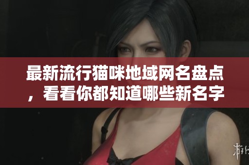 最新流行猫咪地域网名盘点，看看你都知道哪些新名字