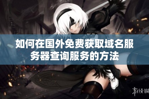 如何在国外免费获取域名服务器查询服务的方法