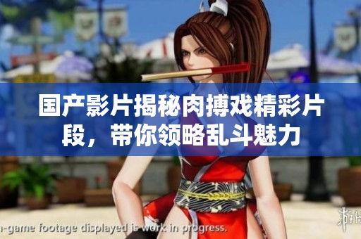 国产影片揭秘肉搏戏精彩片段，带你领略乱斗魅力