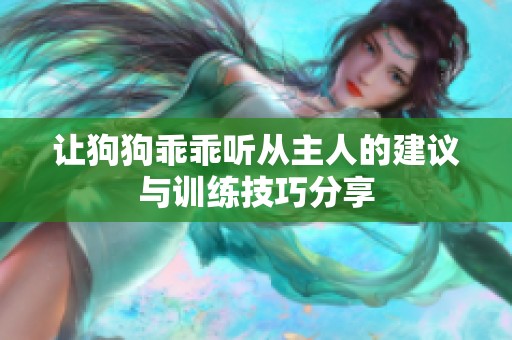 让狗狗乖乖听从主人的建议与训练技巧分享