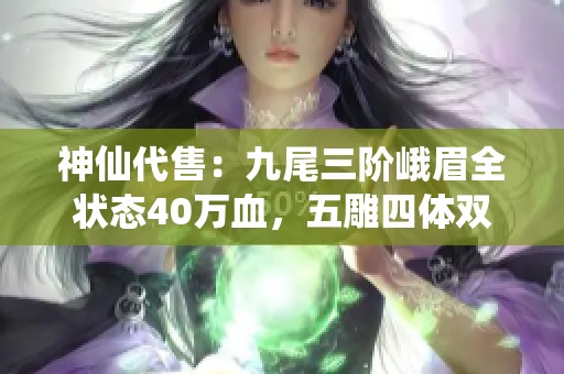 神仙代售：九尾三阶峨眉全状态40万血，五雕四体双抗攻略解析