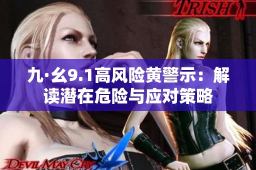九·幺9.1高风险黄警示：解读潜在危险与应对策略