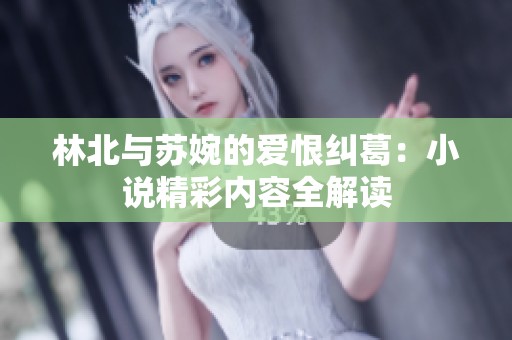 林北与苏婉的爱恨纠葛：小说精彩内容全解读