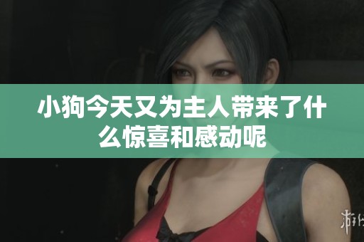 小狗今天又为主人带来了什么惊喜和感动呢