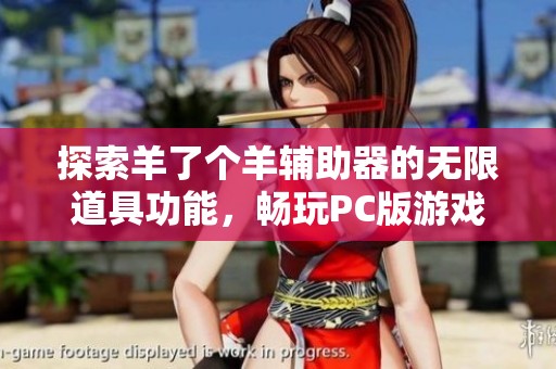 探索羊了个羊辅助器的无限道具功能，畅玩PC版游戏攻略