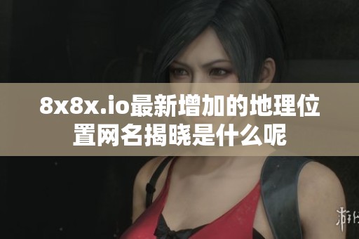 8x8x.io最新增加的地理位置网名揭晓是什么呢