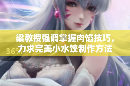 梁教授强调掌握肉馅技巧，力求完美小水饺制作方法