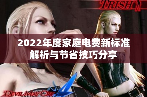 2022年度家庭电费新标准解析与节省技巧分享