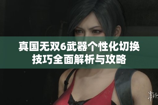 真国无双6武器个性化切换技巧全面解析与攻略