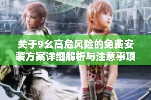 关于9幺高危风险的免费安装方案详细解析与注意事项