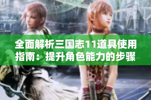 全面解析三国志11道具使用指南：提升角色能力的步骤与关键注意事项