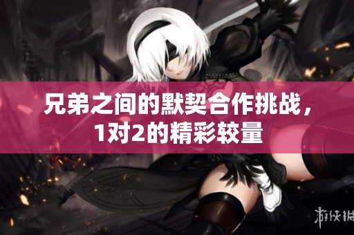 兄弟之间的默契合作挑战，1对2的精彩较量
