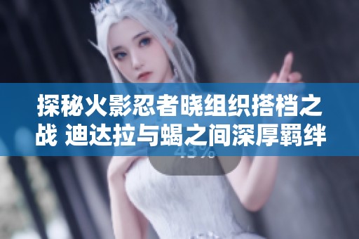 探秘火影忍者晓组织搭档之战 迪达拉与蝎之间深厚羁绊的较量解析