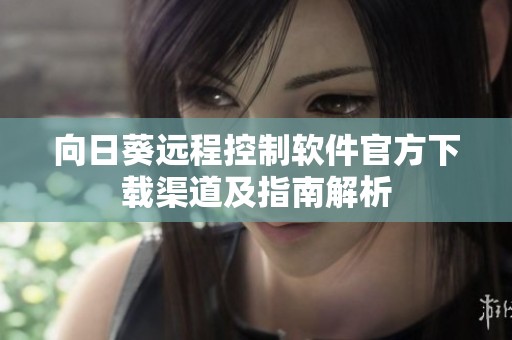 向日葵远程控制软件官方下载渠道及指南解析