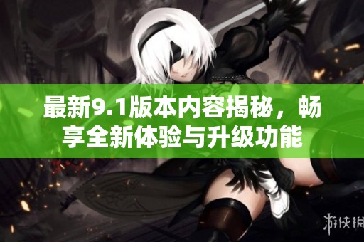 最新9.1版本内容揭秘，畅享全新体验与升级功能