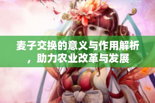 麦子交换的意义与作用解析，助力农业改革与发展