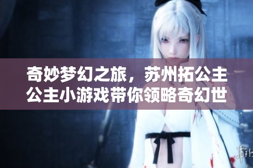 奇妙梦幻之旅，苏州拓公主公主小游戏带你领略奇幻世界的互动冒险