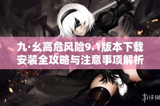 九·幺高危风险9.1版本下载安装全攻略与注意事项解析