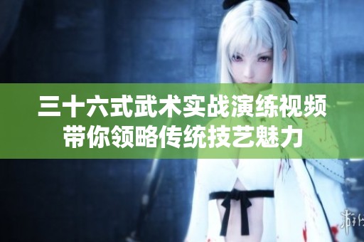三十六式武术实战演练视频带你领略传统技艺魅力
