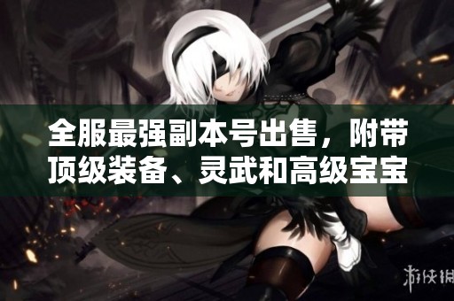 全服最强副本号出售，附带顶级装备、灵武和高级宝宝，仓库等级四级三重！