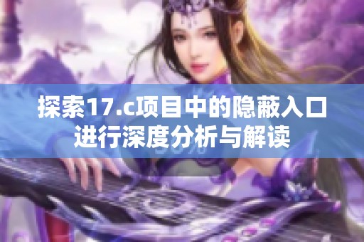 探索17.c项目中的隐蔽入口进行深度分析与解读