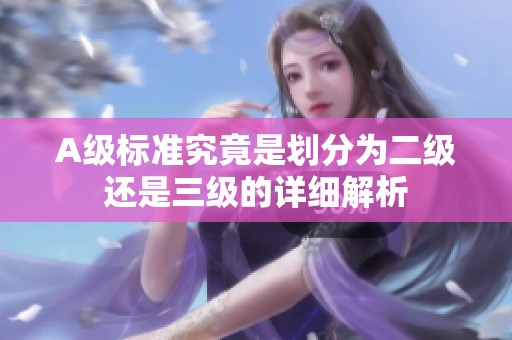 A级标准究竟是划分为二级还是三级的详细解析