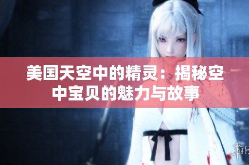 美国天空中的精灵：揭秘空中宝贝的魅力与故事