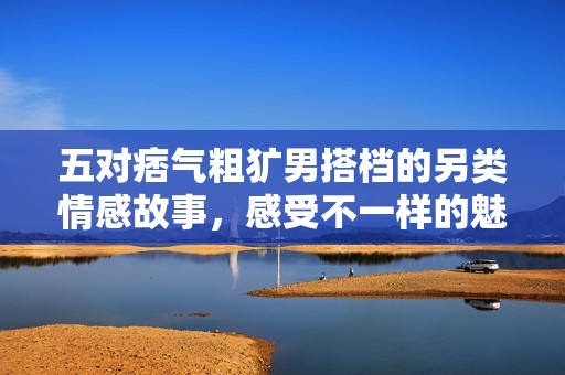 五对痞气粗犷男搭档的另类情感故事，感受不一样的魅力