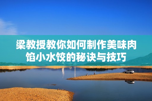 梁教授教你如何制作美味肉馅小水饺的秘诀与技巧