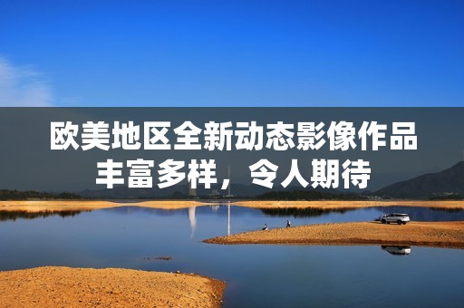 欧美地区全新动态影像作品丰富多样，令人期待
