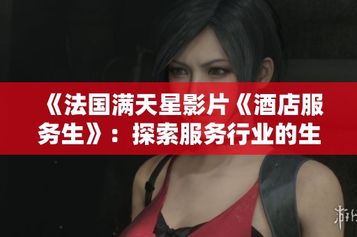 《法国满天星影片《酒店服务生》：探索服务行业的生活与挑战》