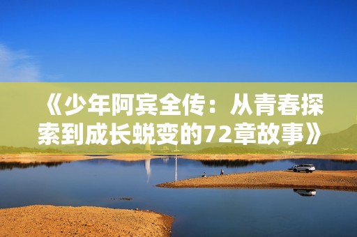 《少年阿宾全传：从青春探索到成长蜕变的72章故事》