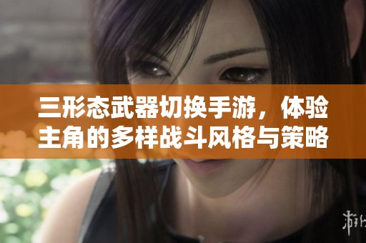 三形态武器切换手游，体验主角的多样战斗风格与策略攻略