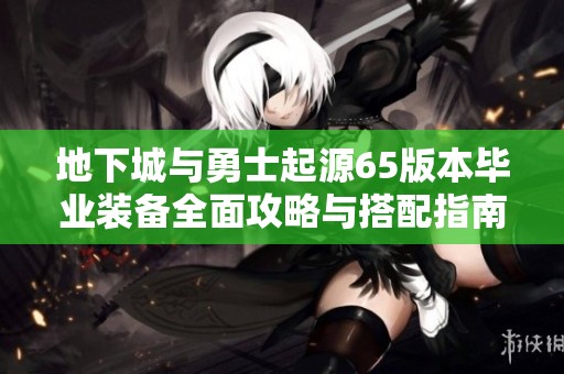 地下城与勇士起源65版本毕业装备全面攻略与搭配指南