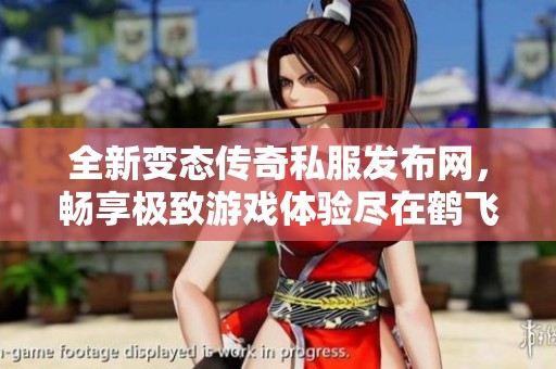 全新变态传奇私服发布网，畅享极致游戏体验尽在鹤飞游戏网