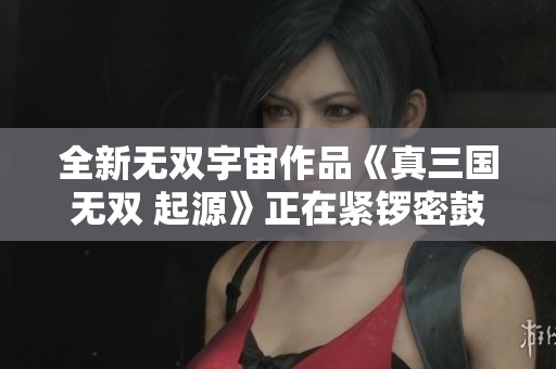 全新无双宇宙作品《真三国无双 起源》正在紧锣密鼓开发中！