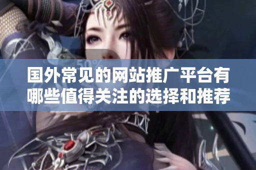 国外常见的网站推广平台有哪些值得关注的选择和推荐