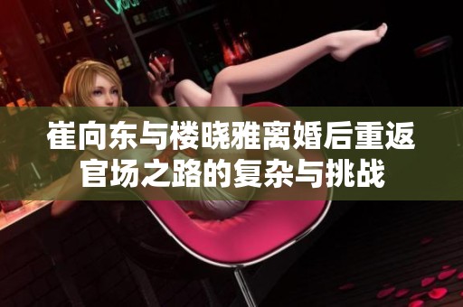 崔向东与楼晓雅离婚后重返官场之路的复杂与挑战
