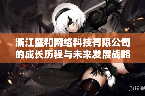 浙江盛和网络科技有限公司的成长历程与未来发展战略分析