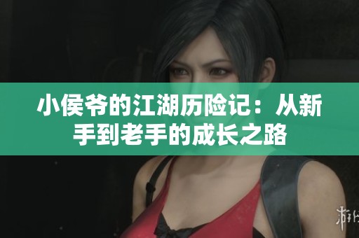 小侯爷的江湖历险记：从新手到老手的成长之路