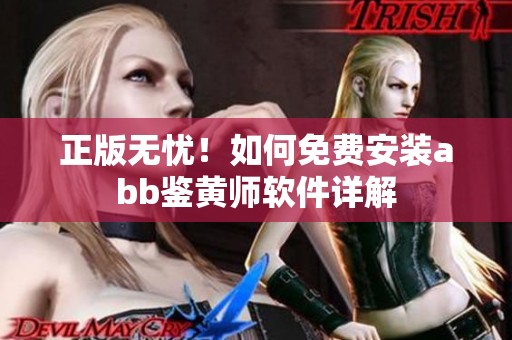 正版无忧！如何免费安装abb鉴黄师软件详解