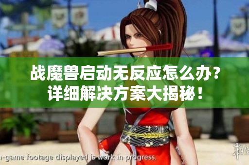 战魔兽启动无反应怎么办？详细解决方案大揭秘！